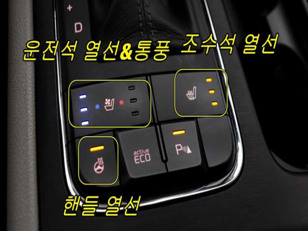 KIA Carnival - Vista 12