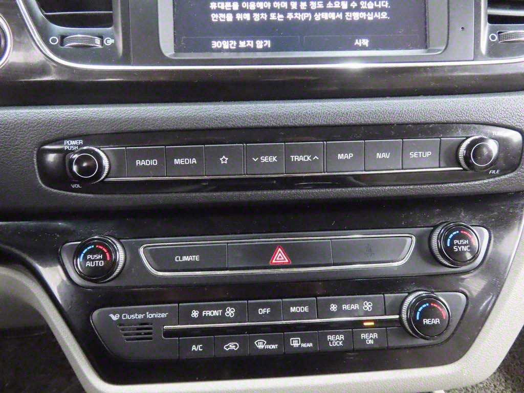 KIA Carnival - Vista 12