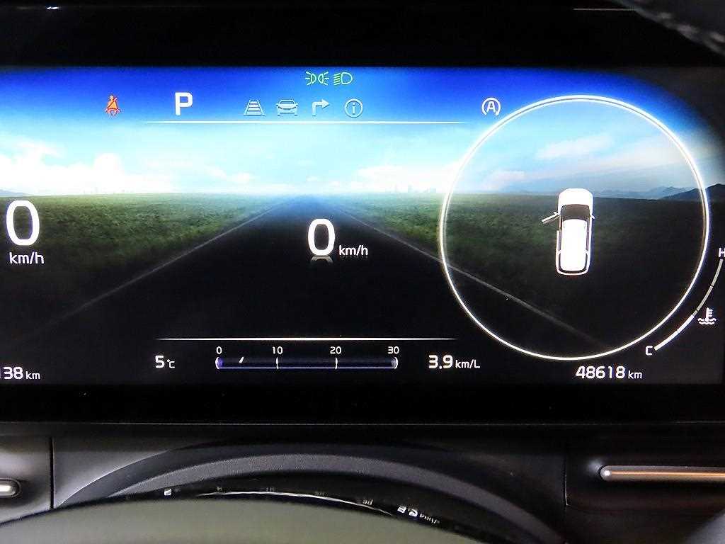 KIA Carnival - Vista 9