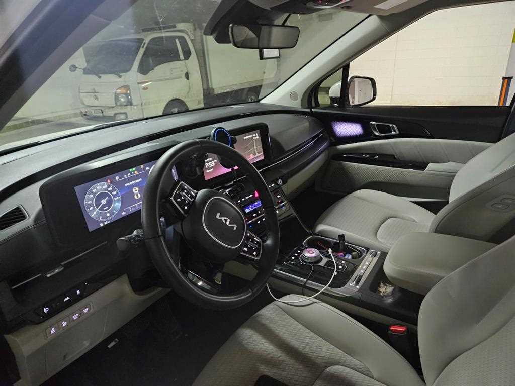 KIA Carnival - Vista 8