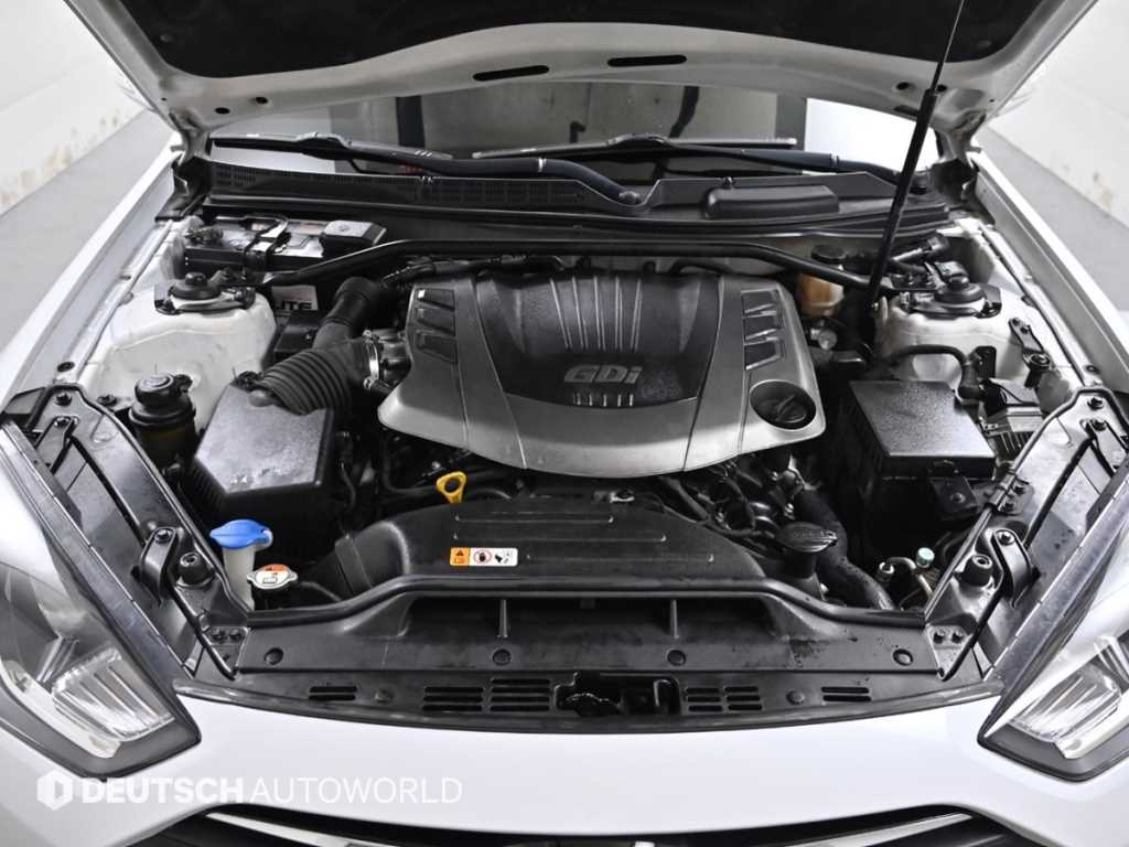 HYUNDAI Genesis - Vista 6