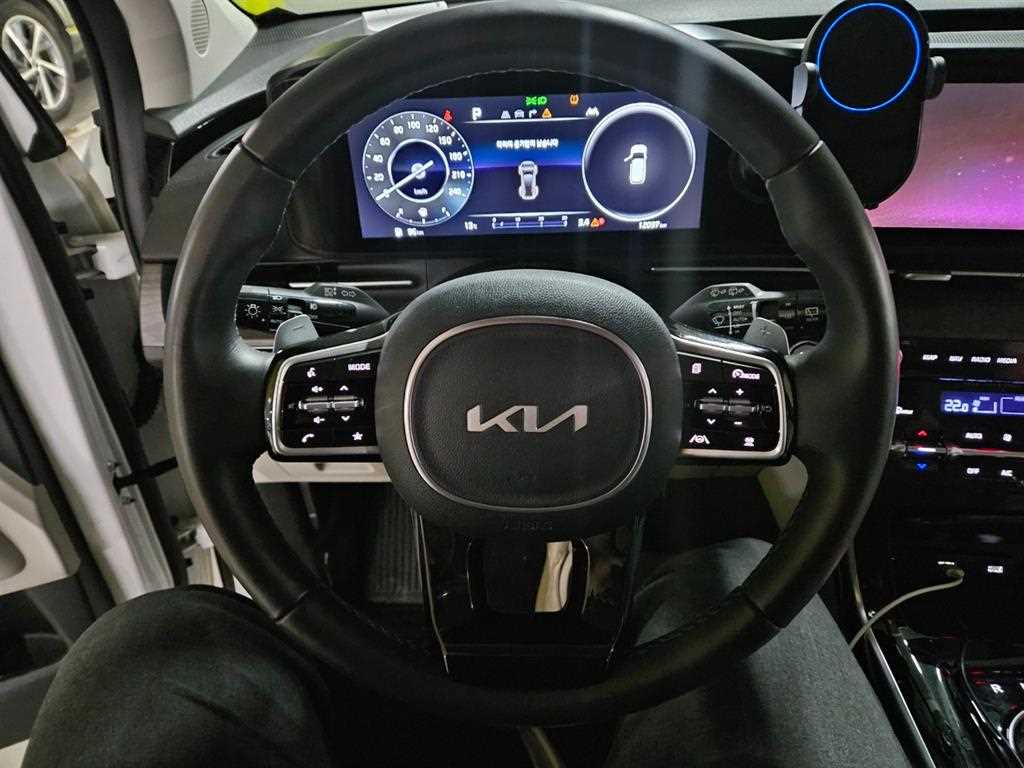 KIA Carnival - Vista 11