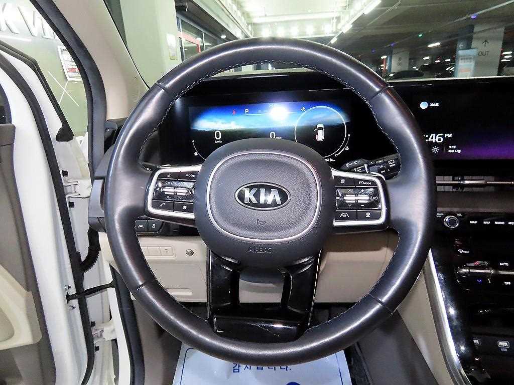 KIA Carnival - Vista 8