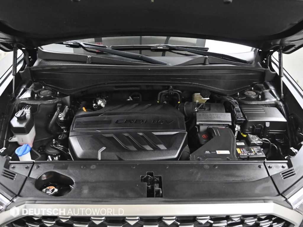 HYUNDAI Palisade - Vista 6