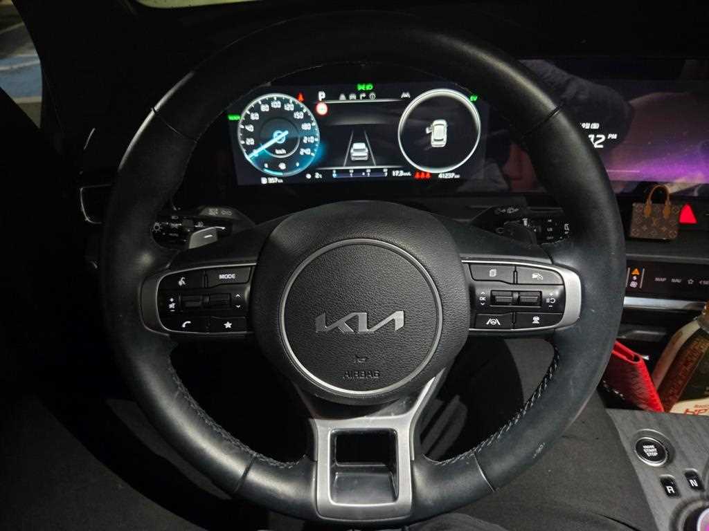 KIA Sportage - Vista 12