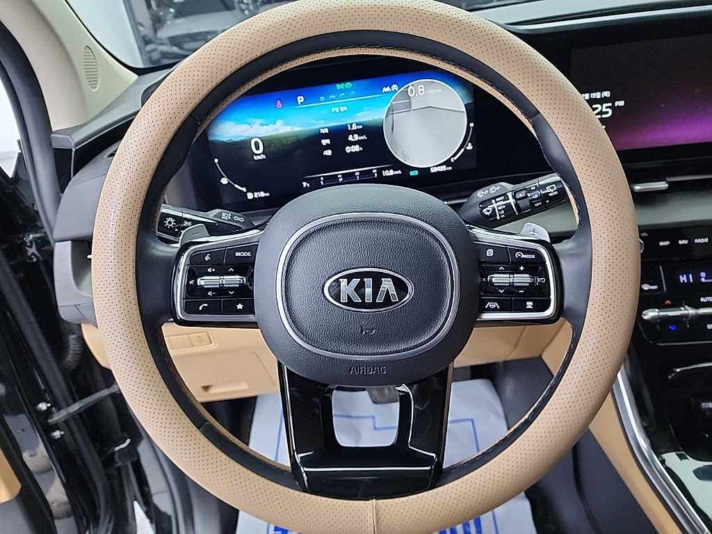 KIA Carnival - Vista 9