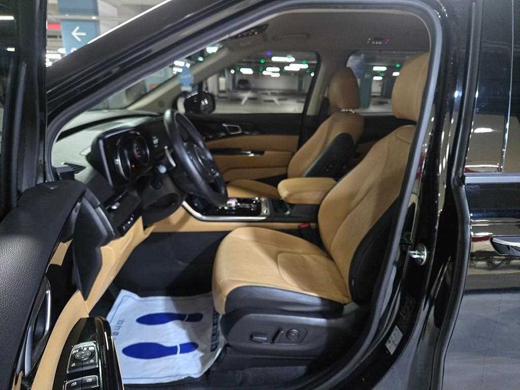 KIA Carnival - Vista 6