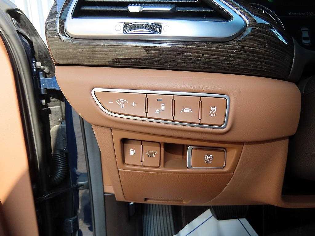 Genesis G90 - Vista 12