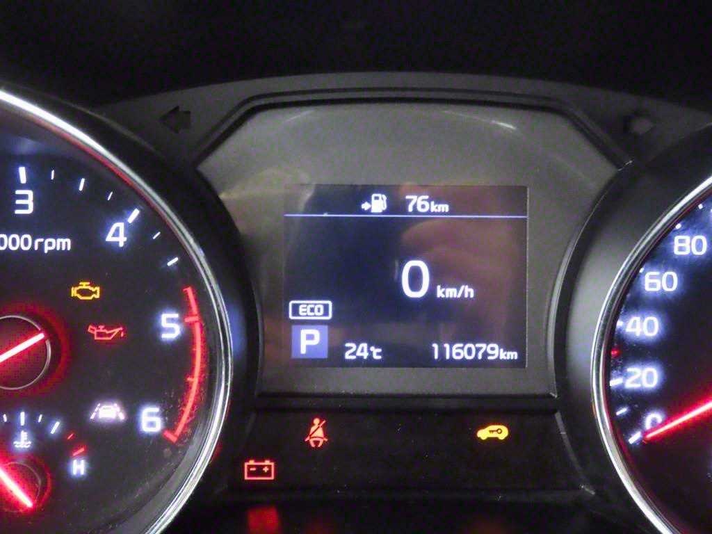 KIA Carnival - Vista 9