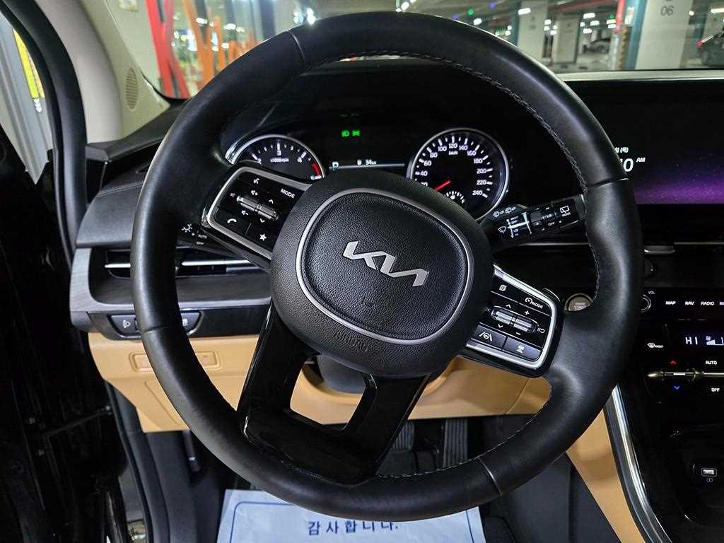 KIA Carnival - Vista 9