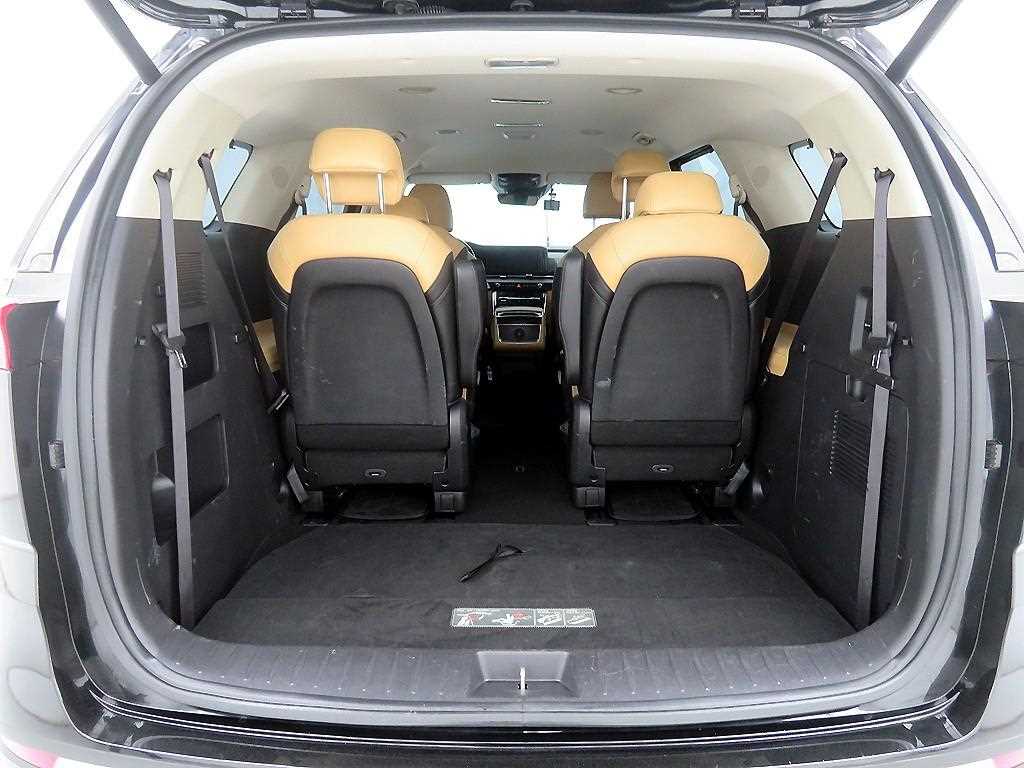 KIA Carnival - Vista 5
