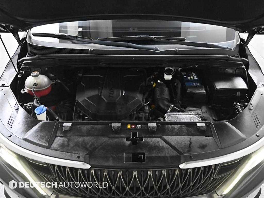 KIA Carnival - Vista 6