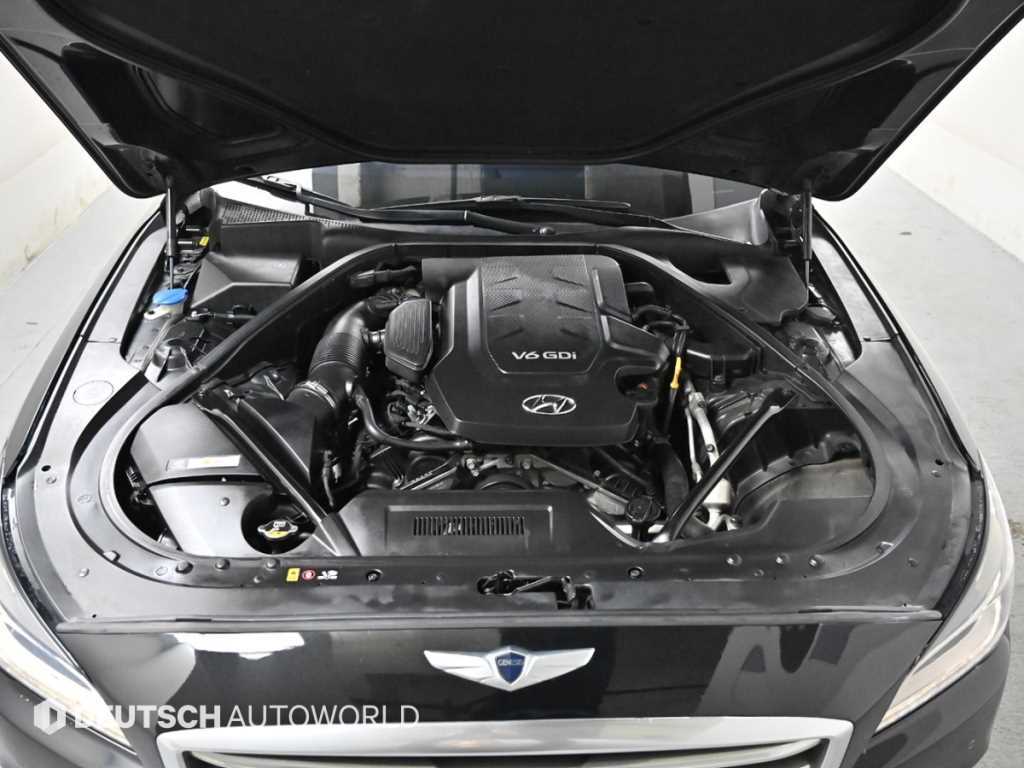 HYUNDAI Genesis - Vista 6