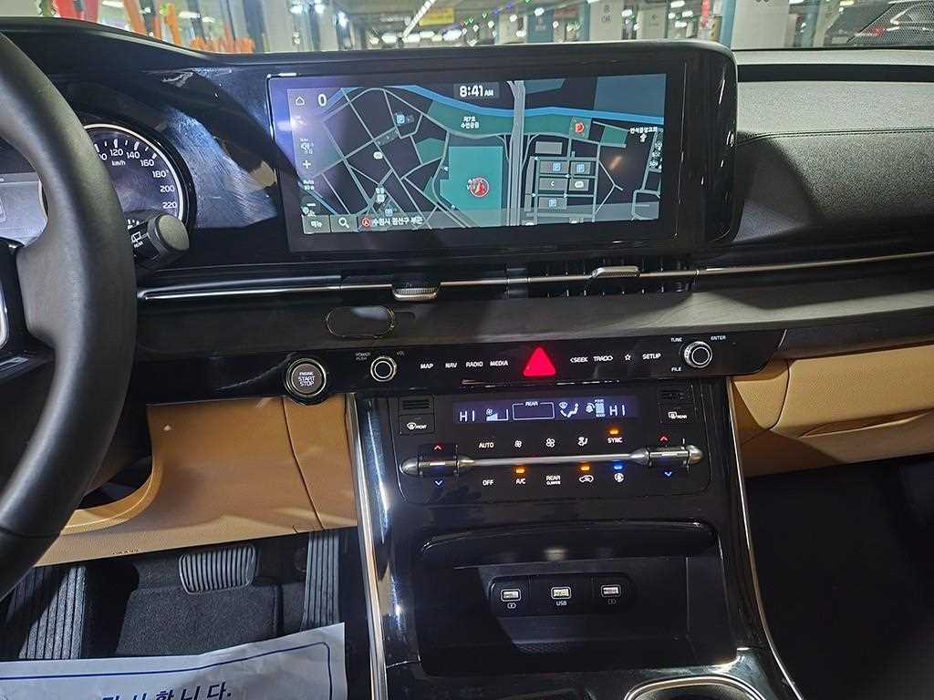 KIA Carnival - Vista 12