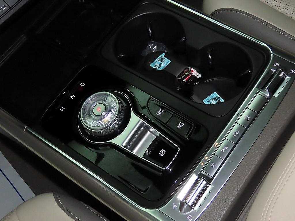 KIA Carnival - Vista 12