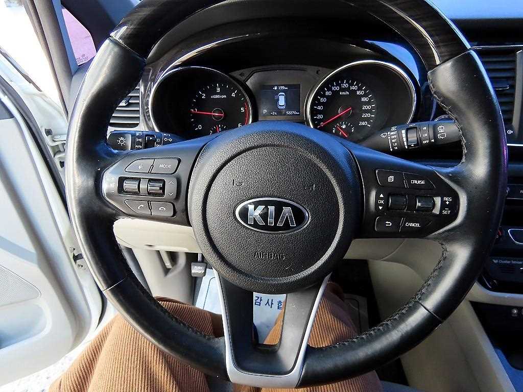KIA Carnival - Vista 8