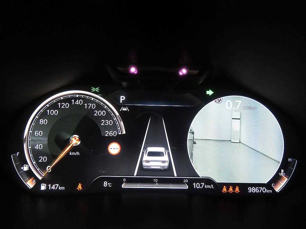 Genesis G80 - Vista 12