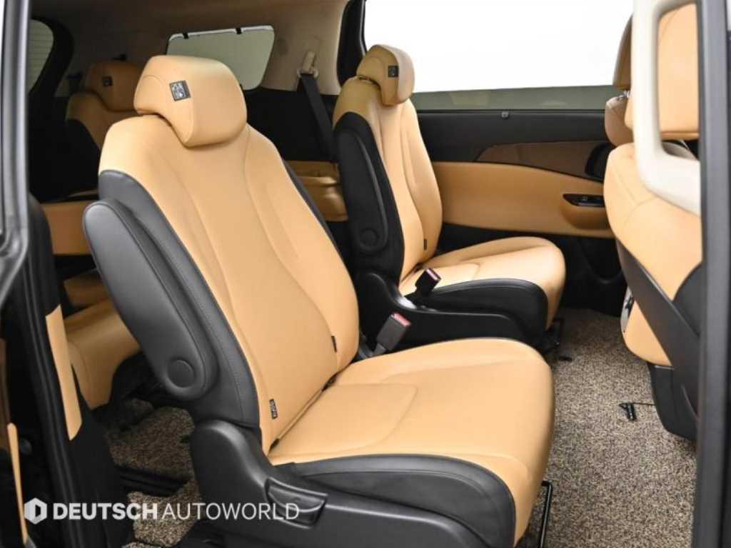 KIA Carnival - Vista 12