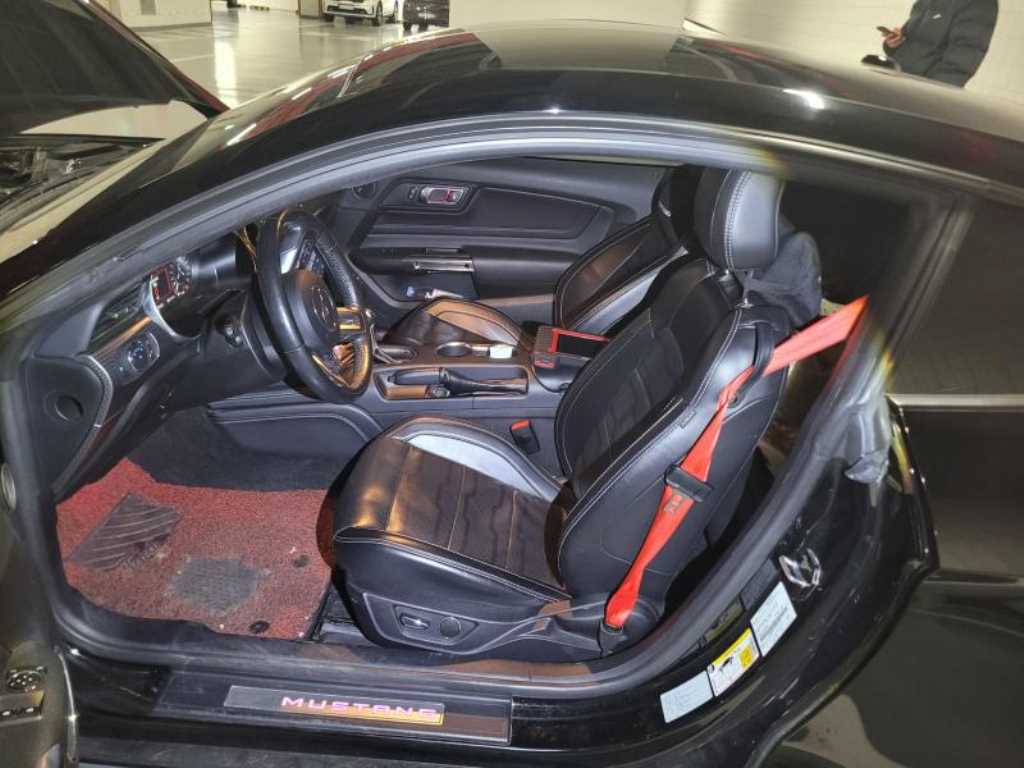 Ford Mustang - Vista 6