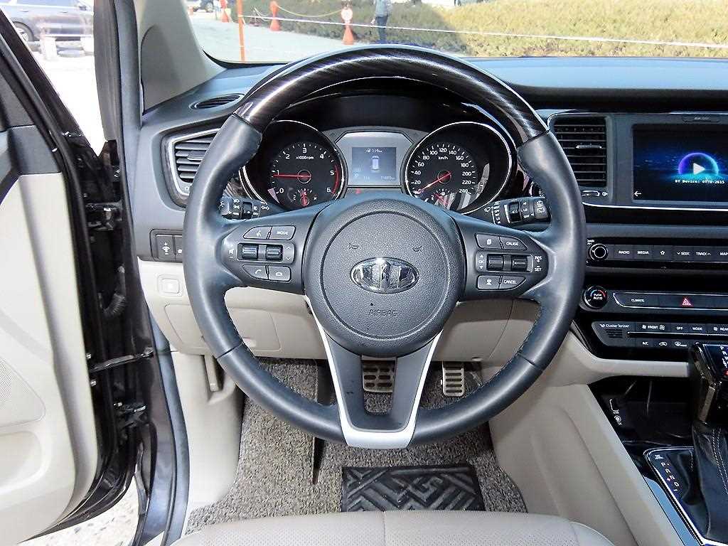 KIA Carnival - Vista 9