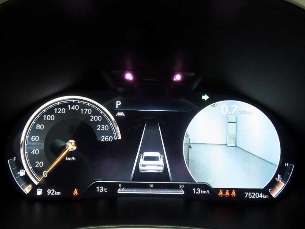 Genesis G80 - Vista 12