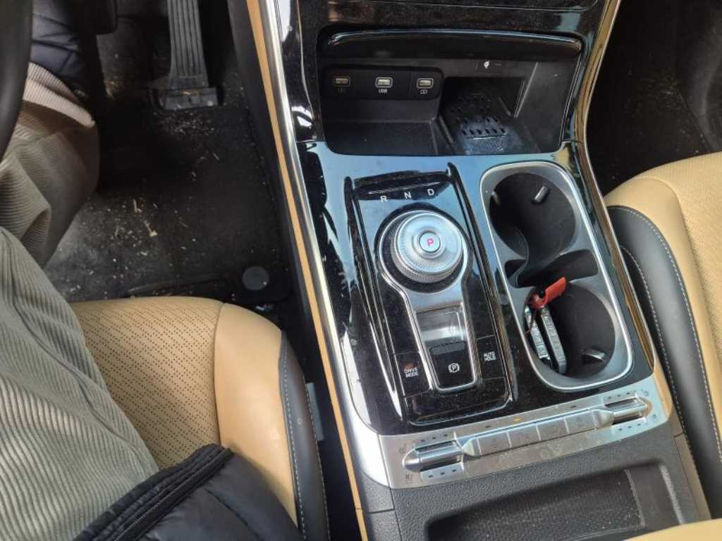 KIA Carnival - Vista 9