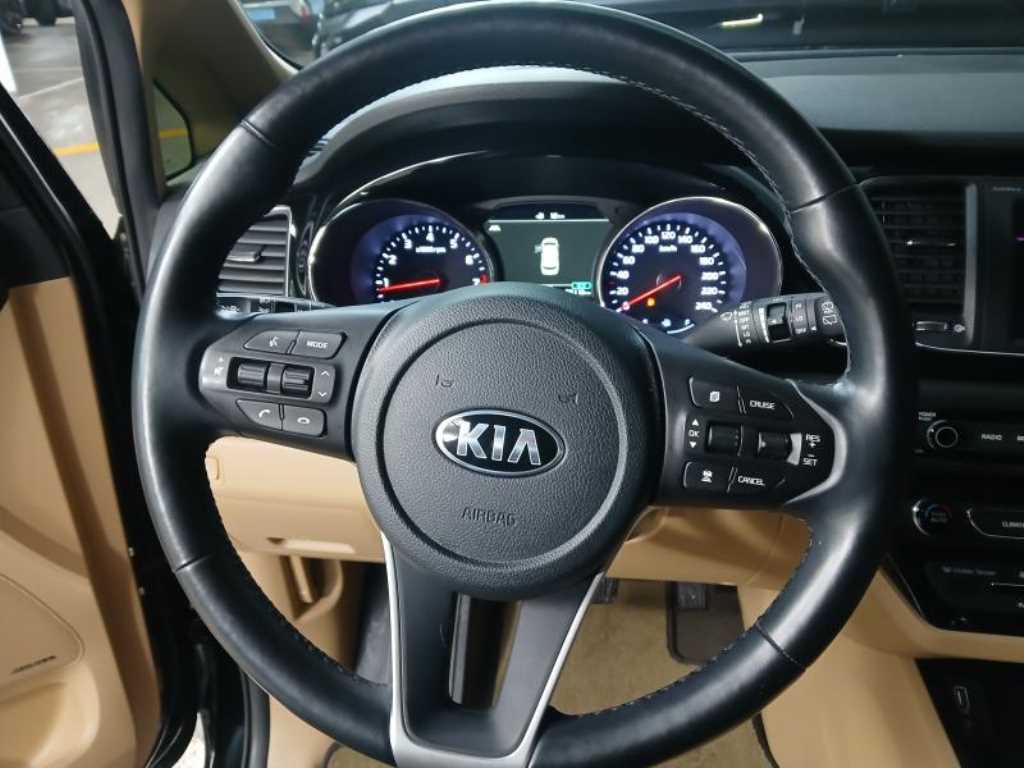 KIA Carnival - Vista 8