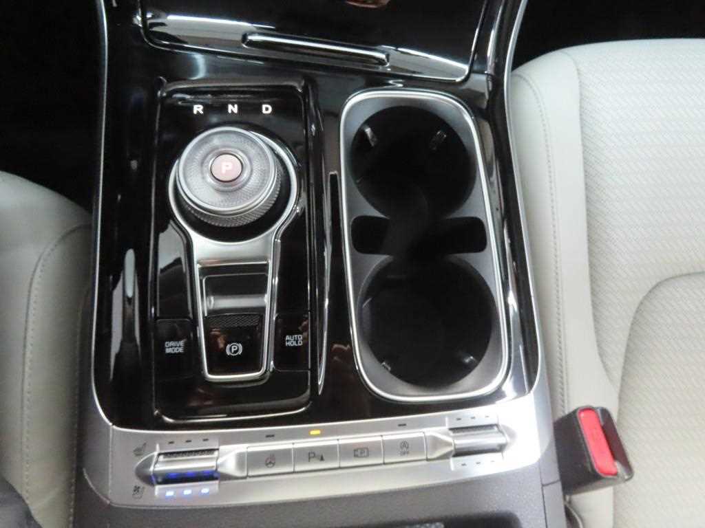 KIA Carnival - Vista 12