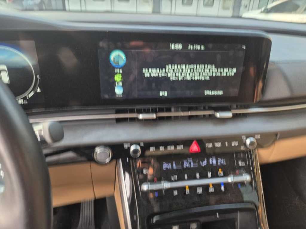 KIA Carnival - Vista 8