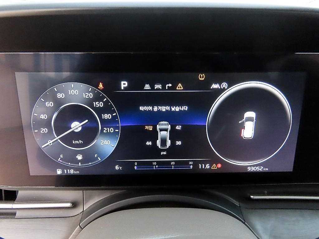 KIA Carnival - Vista 10