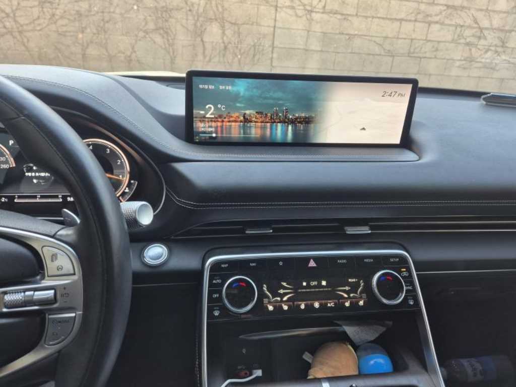 Genesis GV80 - Vista 10