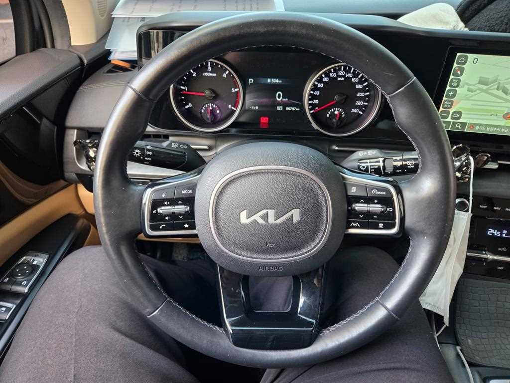 KIA Carnival - Vista 11