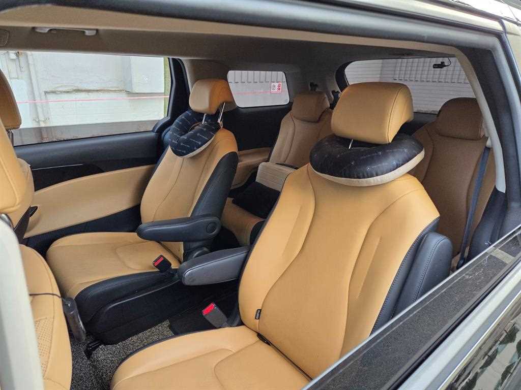 KIA Carnival - Vista 7