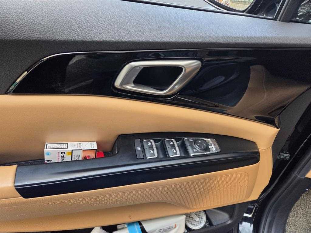 KIA Carnival - Vista 9