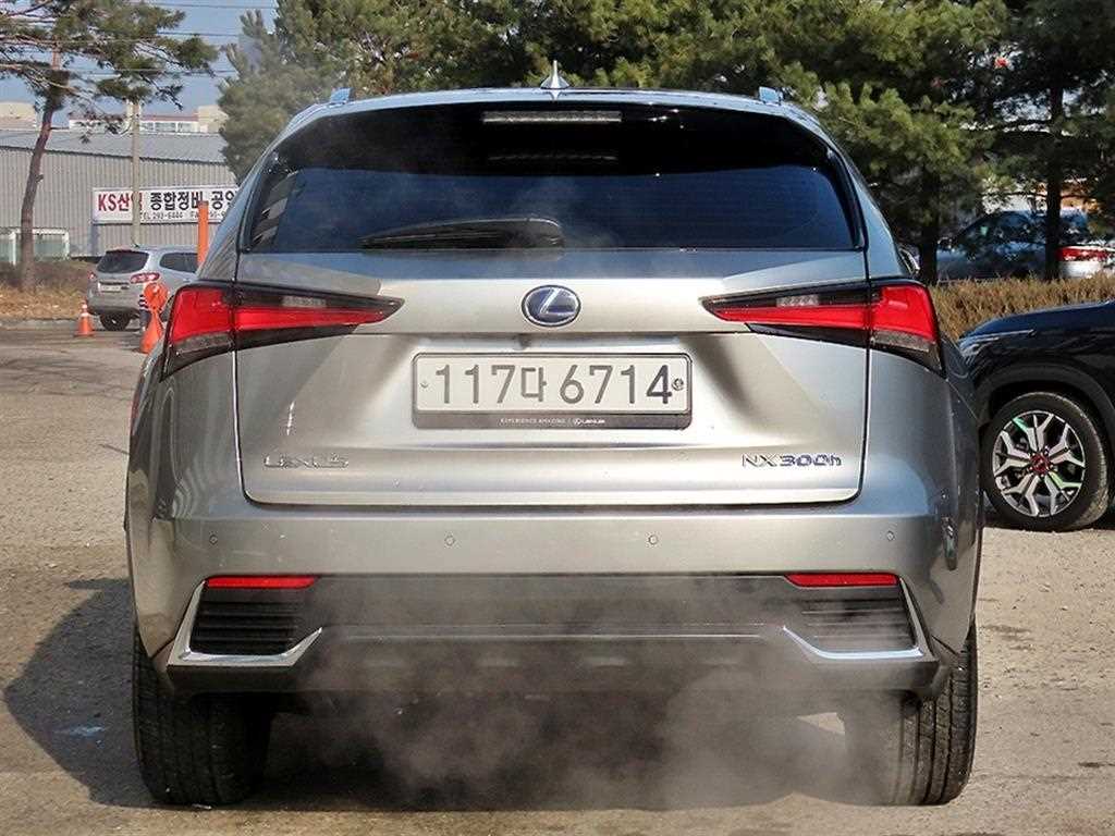 Lexus NX - Vista 4