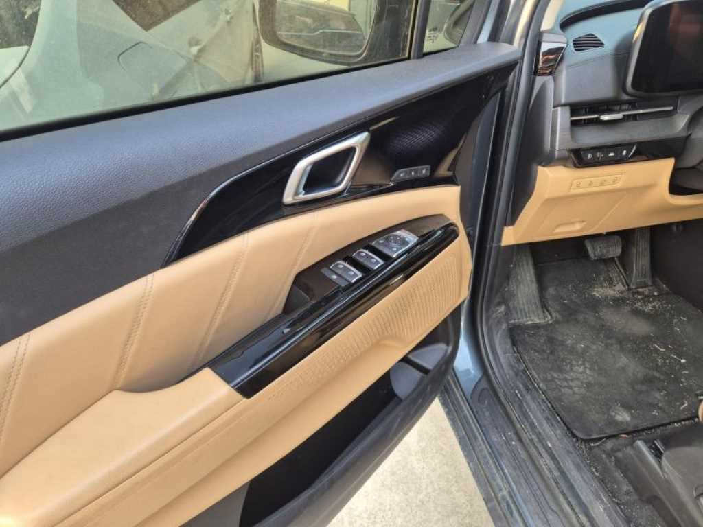 KIA Carnival - Vista 4