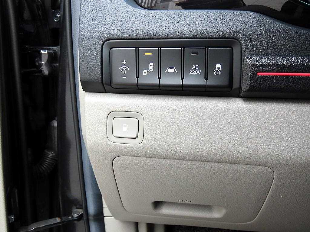 KIA Carnival - Vista 12