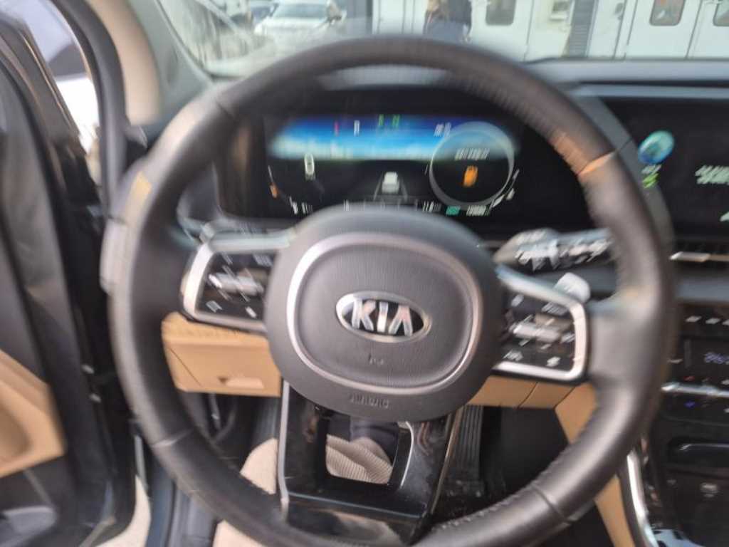 KIA Carnival - Vista 6