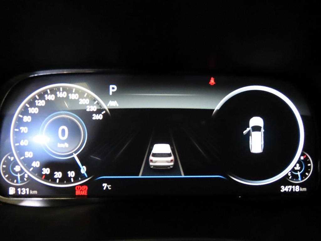 HYUNDAI Palisade - Vista 9