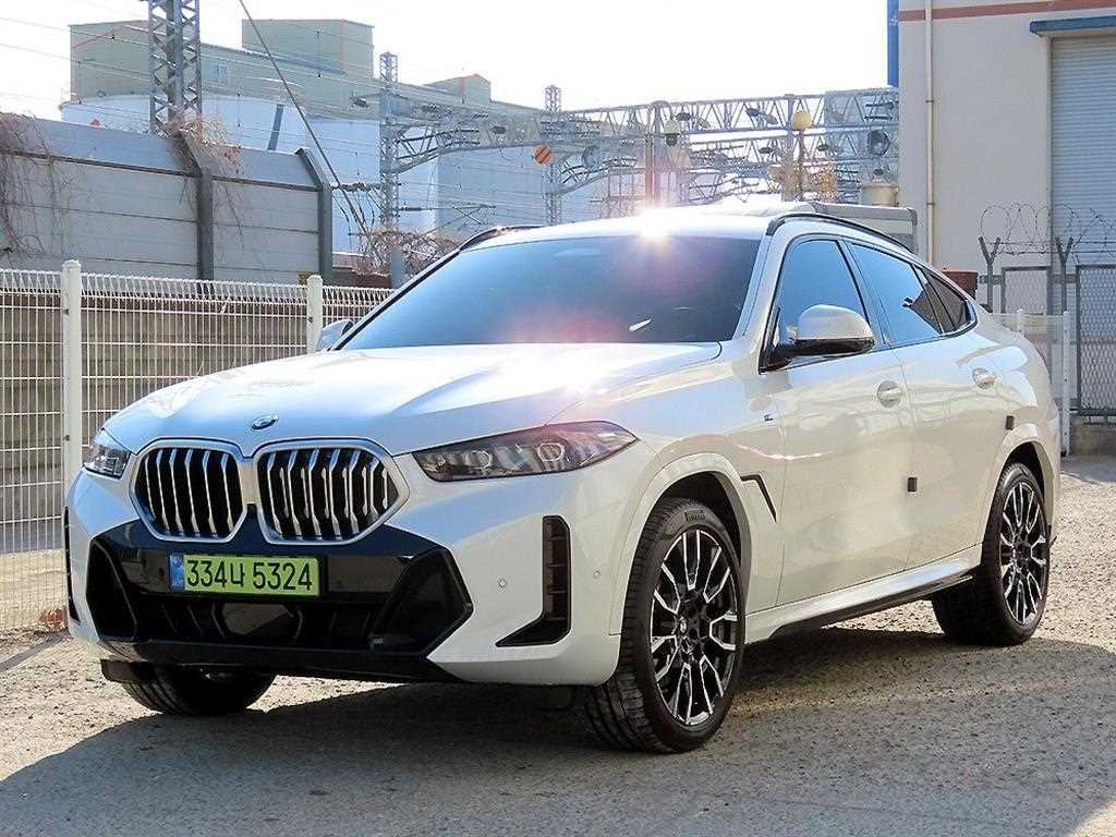 BMW X6 - Vista 2