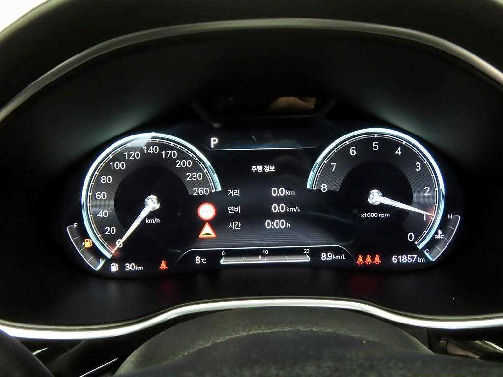 Genesis G80 - Vista 5