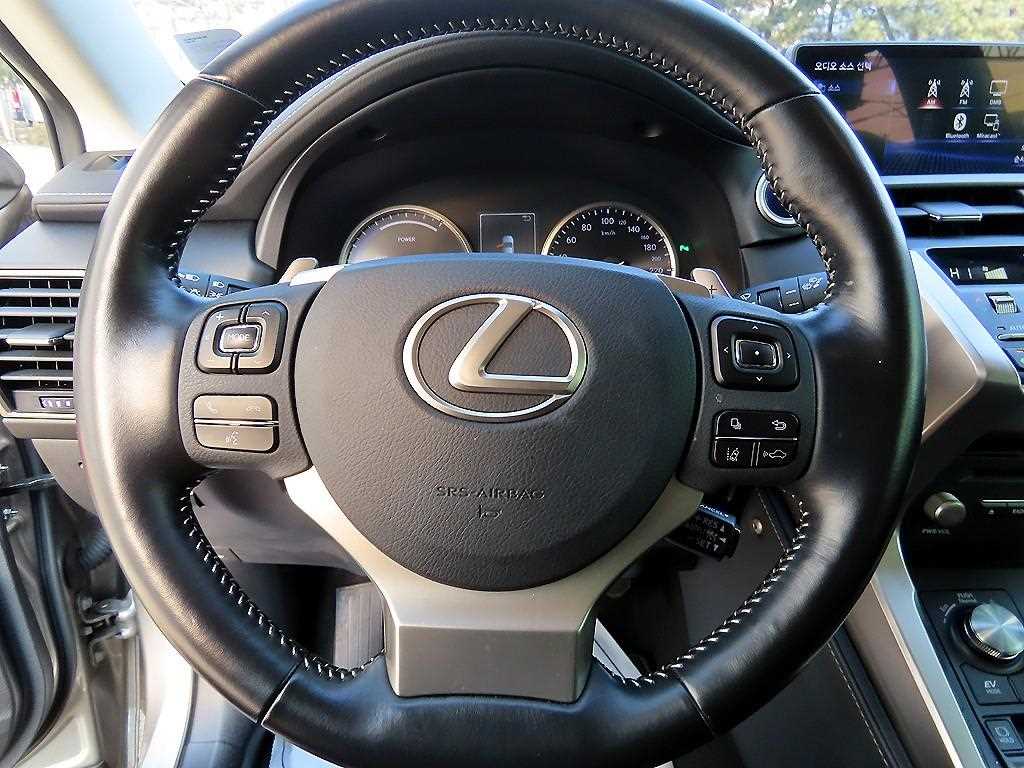 Lexus NX - Vista 8