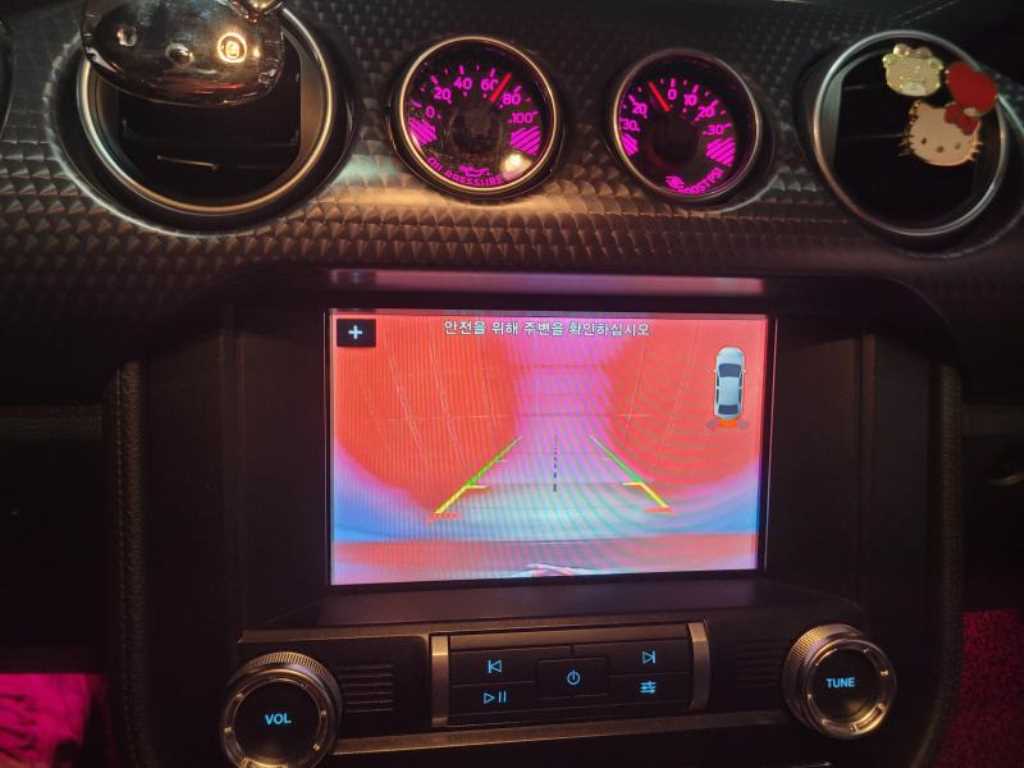 Ford Mustang - Vista 10