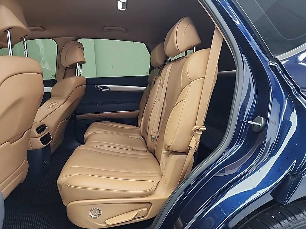 Genesis GV80 - Vista 12