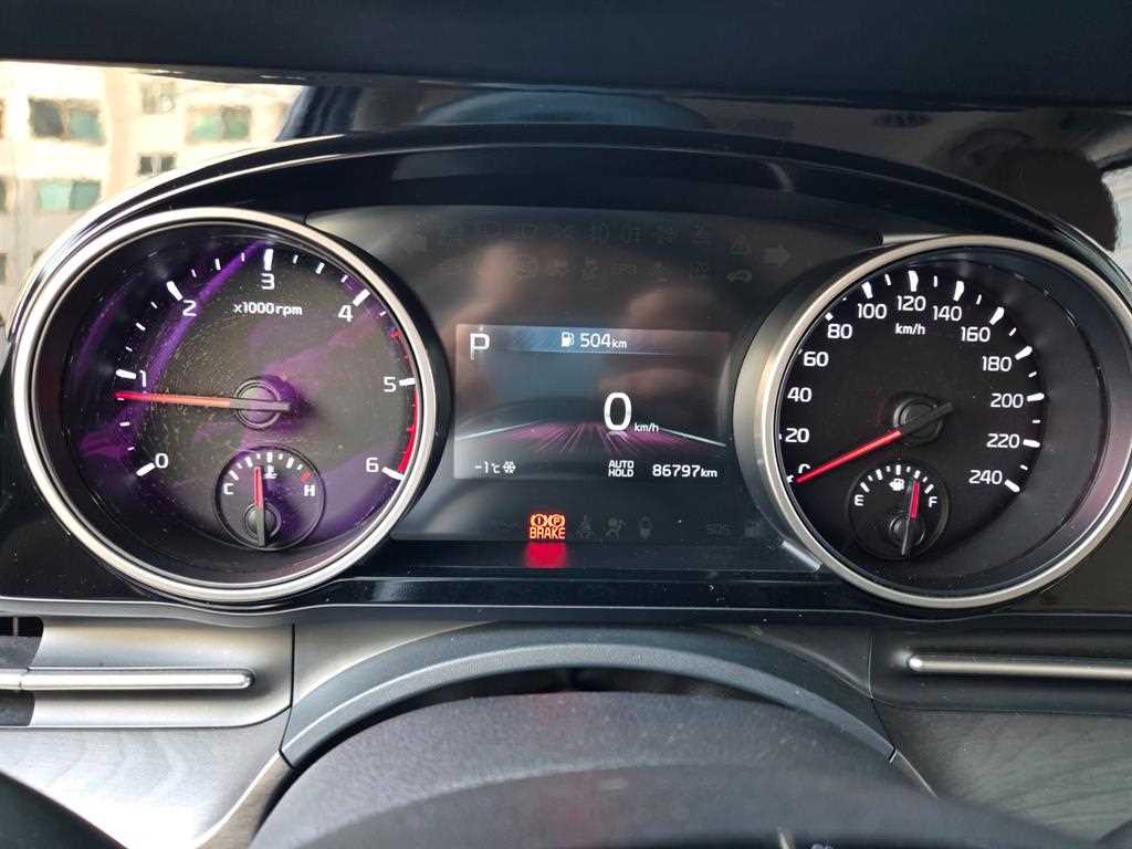 KIA Carnival - Vista 10