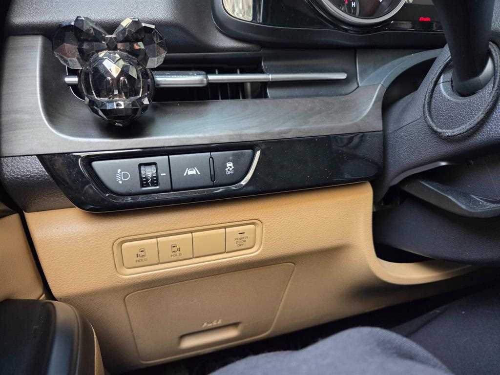 KIA Carnival - Vista 12