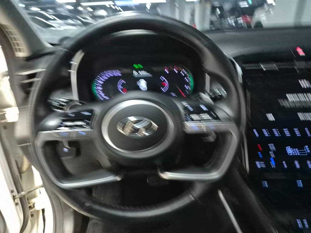 HYUNDAI Tucson - Vista 12