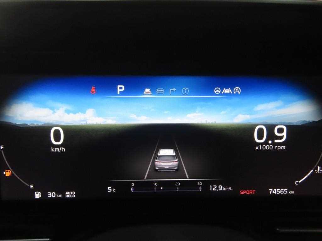 KIA Carnival - Vista 8