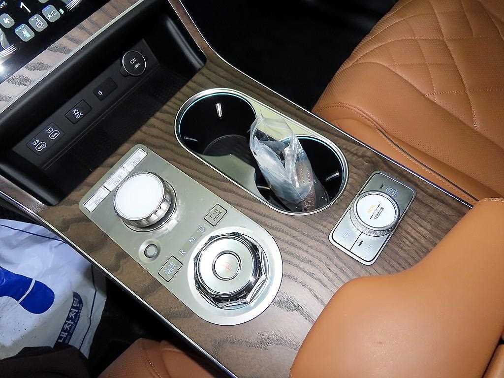 Genesis GV80 - Vista 12