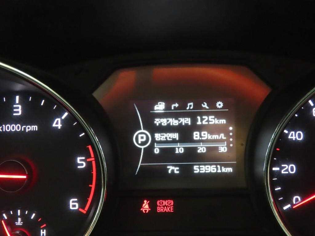 KIA Carnival - Vista 8